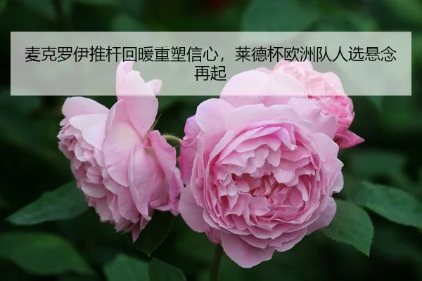mai-ke-luo-yi-tui-gan-hui-nuan-zhong-su-xin-xin-lai-de-bei-ou-zhou-dui-ren-xuan-xuan-nian-zai-qi-3-744.jpg