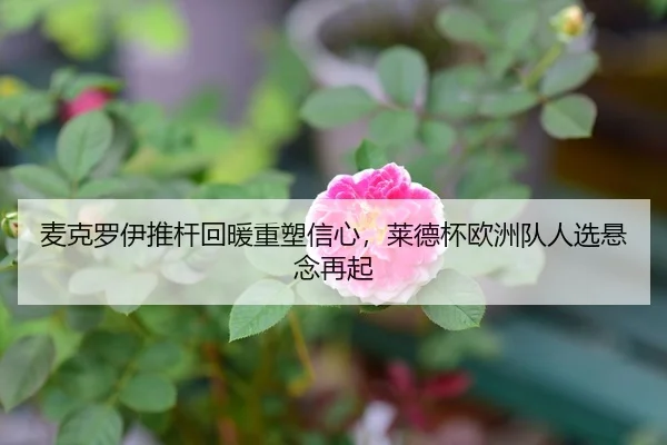 麦克罗伊推杆回暖重塑信心，莱德杯欧洲队人选悬念再起