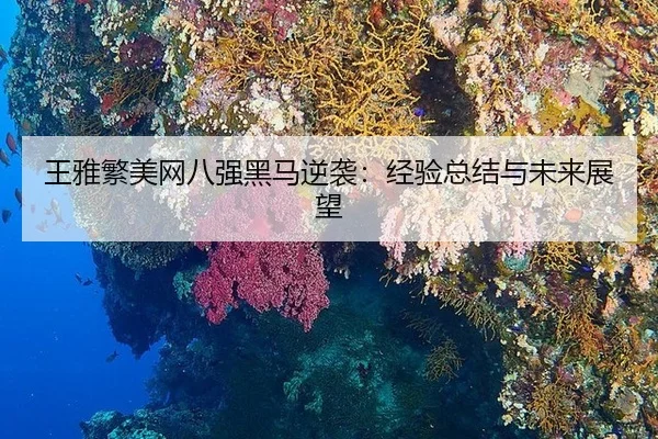 wang-ya-fan-mei-wang-ba-qiang-hei-ma-ni-xi-jing-yan-zong-jie-yu-wei-lai-zhan-wang-2-324.jpg