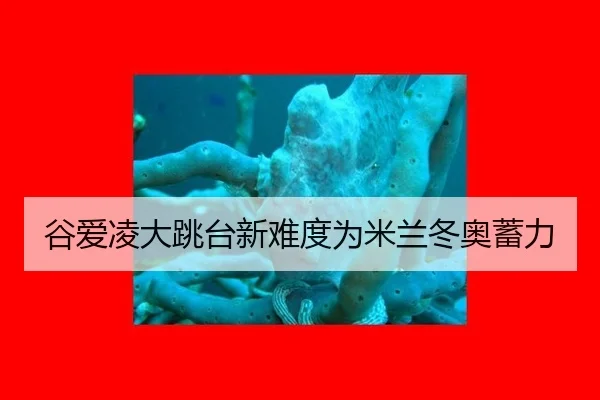 谷爱凌大跳台新难度为米兰冬奥蓄力