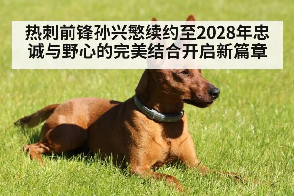 热刺前锋孙兴慜续约至2028年忠诚与野心的完美结合开启新篇章