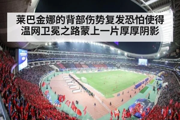 莱巴金娜的背部伤势复发恐怕使得温网卫冕之路蒙上一片厚厚阴影